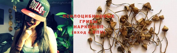 эйфоретик Алексин