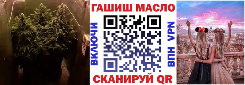 OMG ONION  Бердск  Дистиллят ТГК вейп с тгк 