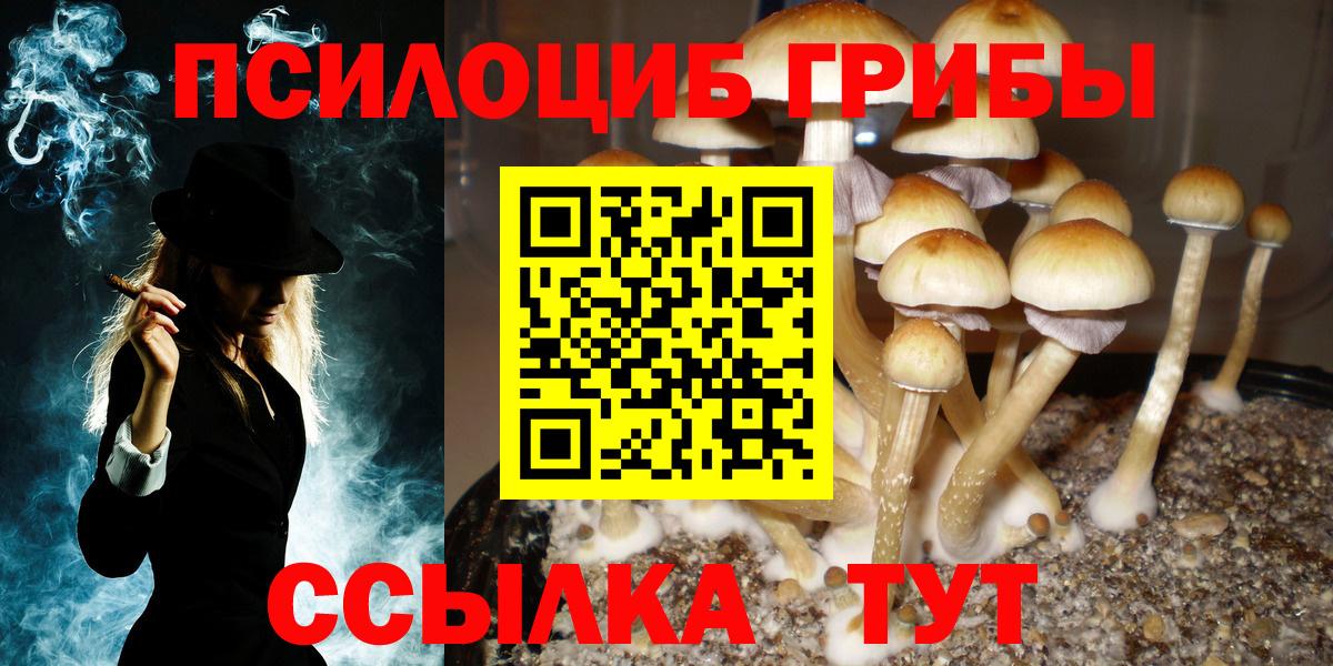 Галлюциногенные грибы Magic Shrooms  Вход с VPN  Бердск 