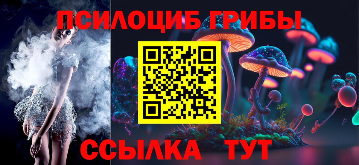 Псилоцибиновые грибы GOLDEN TEACHER Бердск