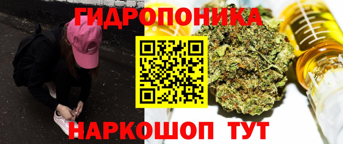 Конопля марихуана Бердск